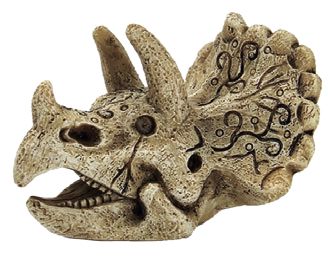 SKULL TRICERATOPS S