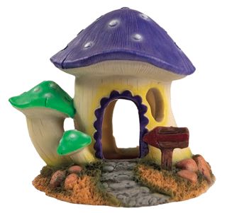 MUSHROOM HOUSE M