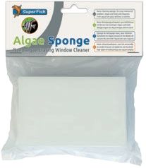 ALGAE SPONGE