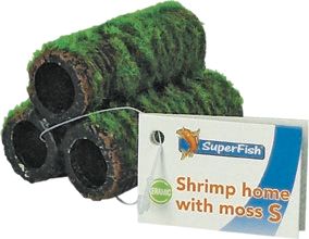 SHRIMP HOME WITH MOSS S