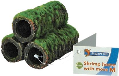 SHRIMP HOME WITH MOSS M