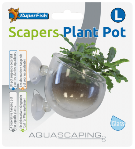 SF SCAPERS GLASS PLANT POT