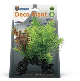 DECO PLANT S HOTTONIA