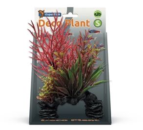 DECO PLANT S LUDWIGIA