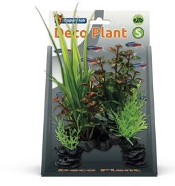 DECO PLANT S ROTALA