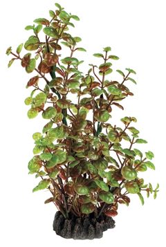 SF ART PLANT 25CM ROTALA