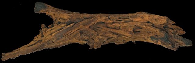 [*]DRIFTWOOD X-LARGE