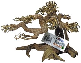 BONSAI DRIFTWOOD S