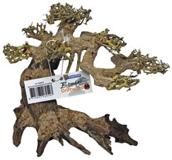 BONSAI DRIFTWOOD M