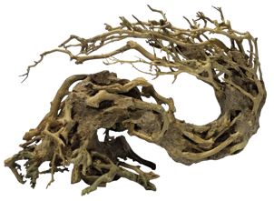 BONSAI WAVE MEDIUM