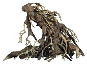 BONSAI ROOT SMALL