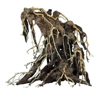 BONSAI ROOT MEDIUM