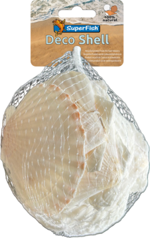 DECO SHELL SCALLOP 200G