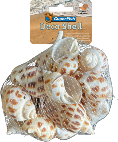 DECO SHELL SNAIL 170G