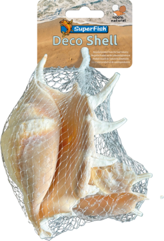 DECO SHELL SPIDER 150G