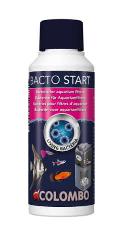 COLOMBO BACTO START 250 ML