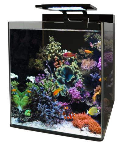 [*]BM REEF 90 AQUARIUM