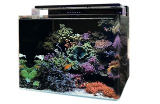 BM REEF 120 AQUARIUM