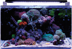 BM REEF 160 ACUARIO KIT