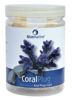 BM CORAL PLUG 24 PCS