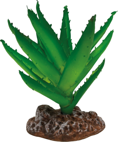 REPTO PLANT ALOE VERA