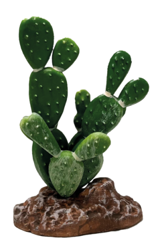 REPTO PLANT CACTUS OPUNTIA