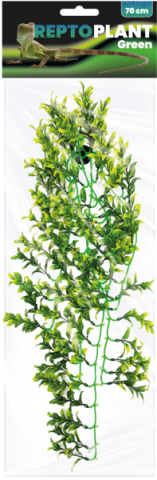 REPTO PLANT GREEN/YELLOW 70CM