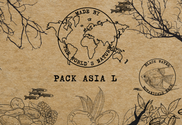 PACK L ASIA